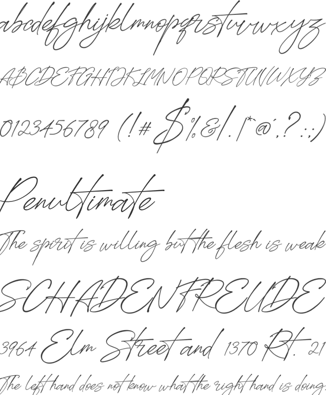 Loisbeauty font preview