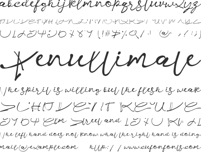 Kelly Signature font preview