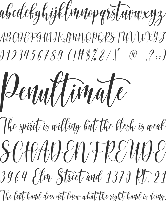 Loved Heart Script font preview