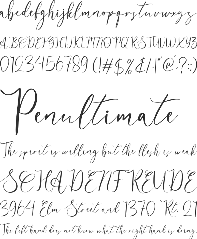 adolide font preview