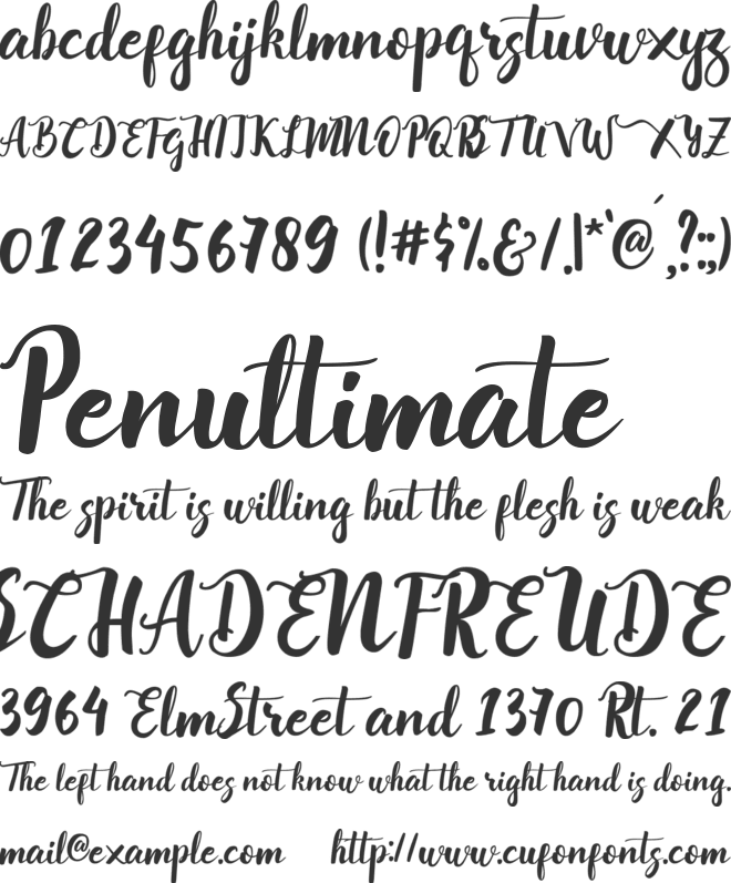 callissta font preview