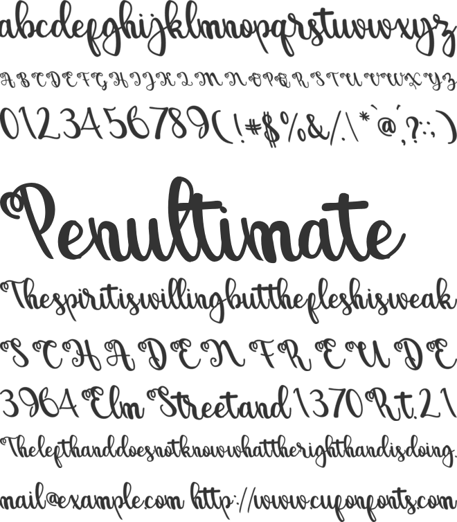 Ruth Loy font preview