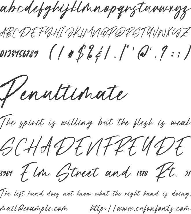 Stylebook font preview