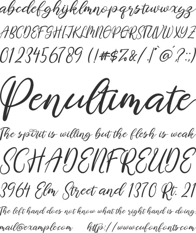 Pettiara font preview