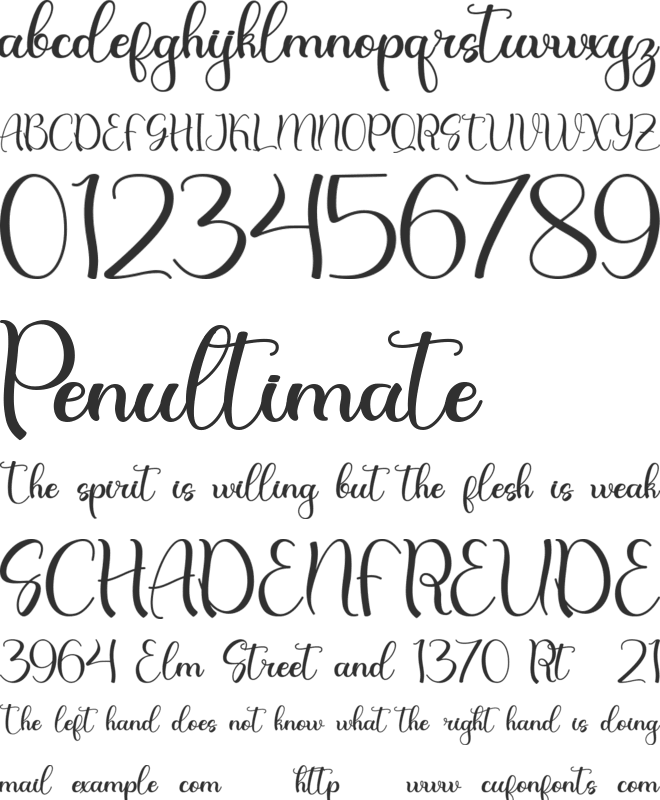 Christmas Night - Pesonal Use font preview