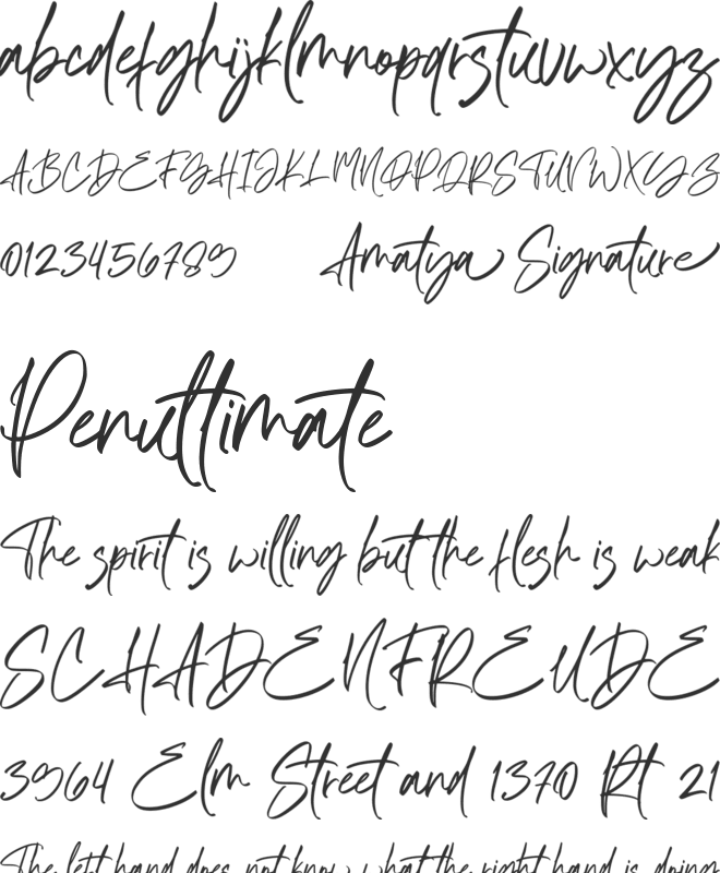 Amatya Signature font preview