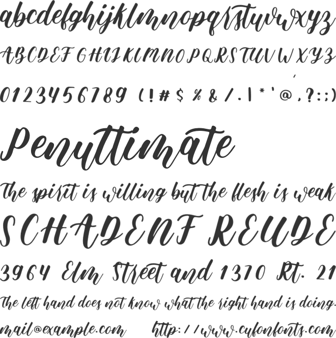 delicia font preview