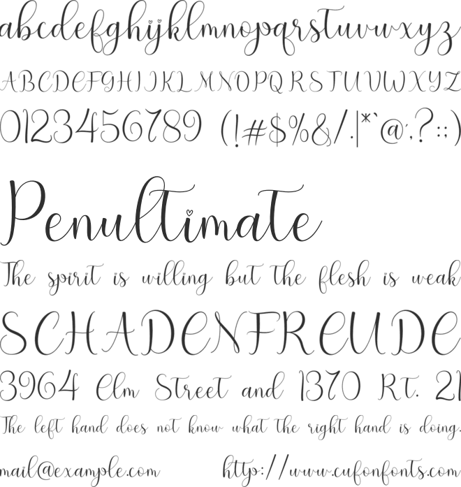 hello olive font preview