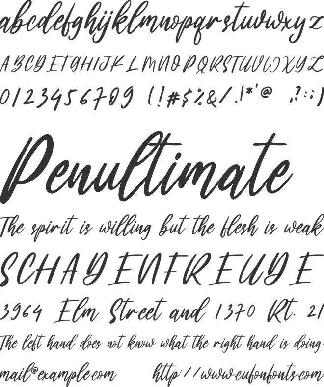 oh beauty font preview