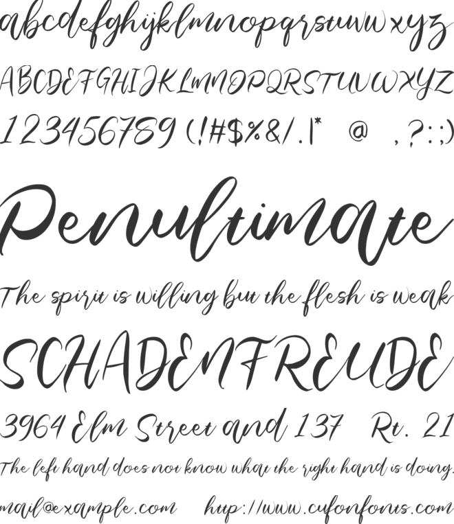 Bightown font preview