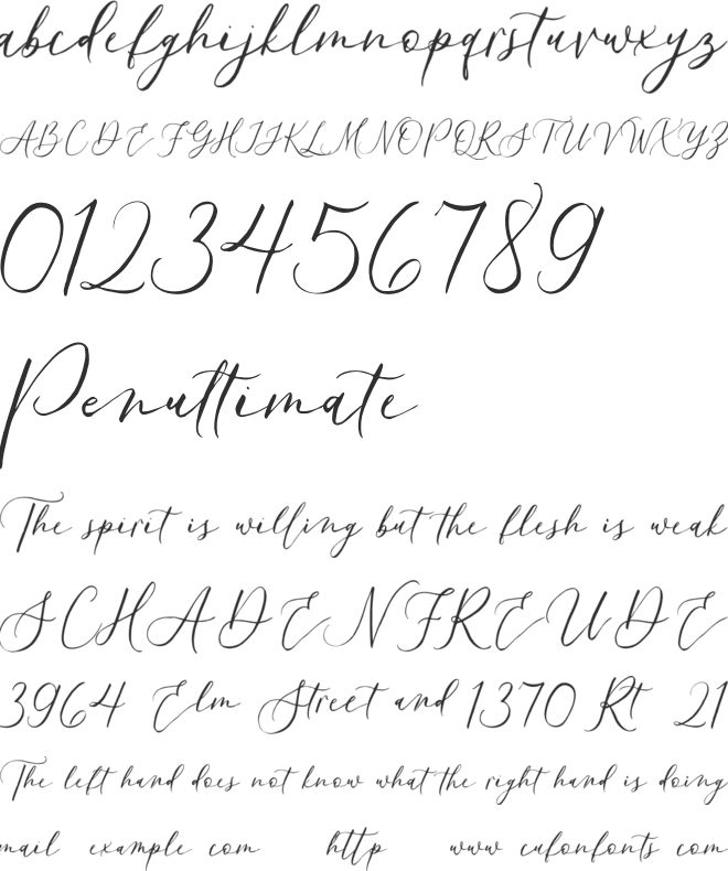 Paisleigh font preview