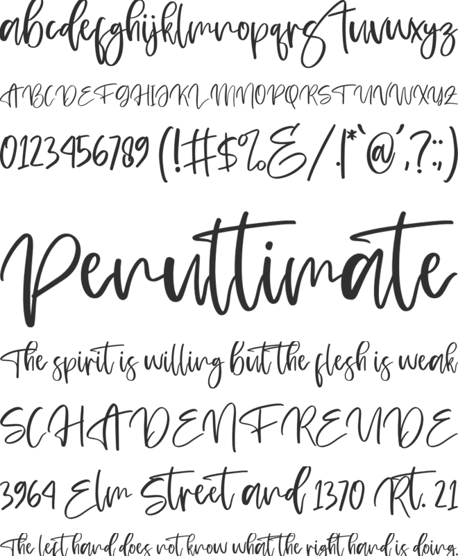 Fletches font preview