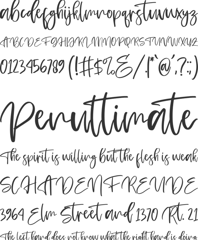 Fletches font preview