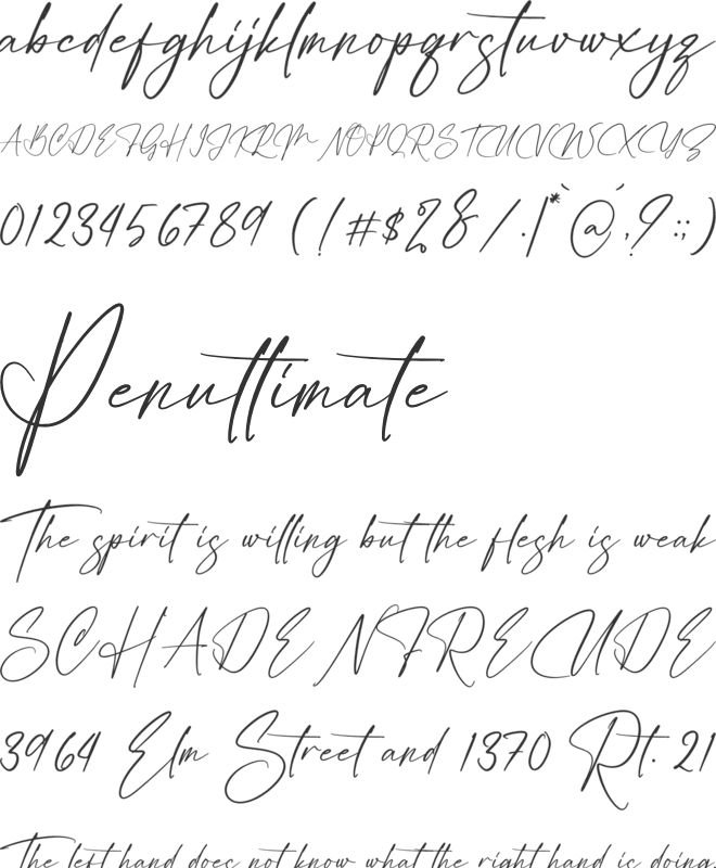 Roselina Ellis font preview