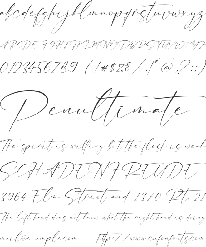 Anthoni Sifnature font preview