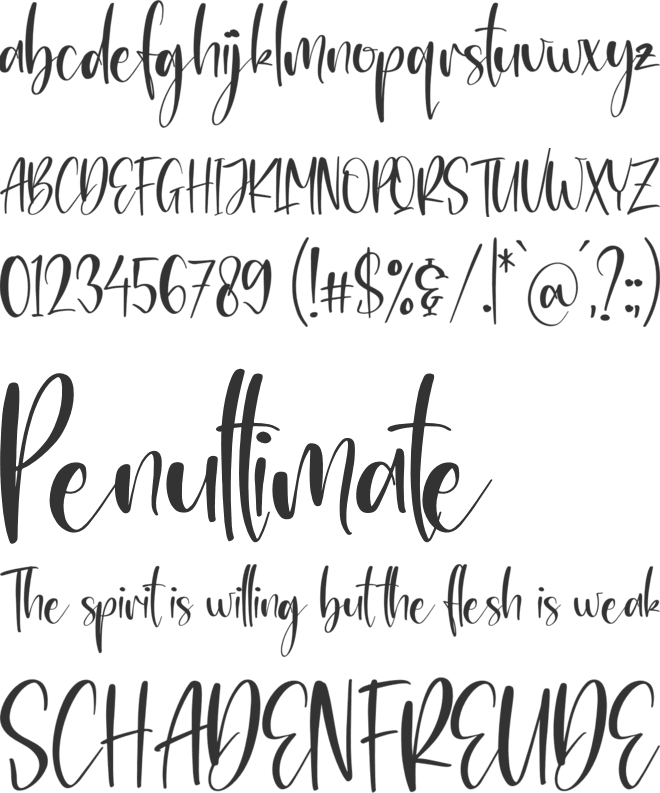 Rossalyta Nataly font preview