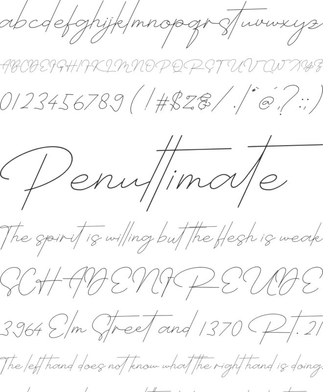 Collier Repstein font preview