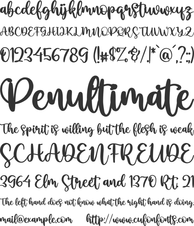 Gina Angle font preview