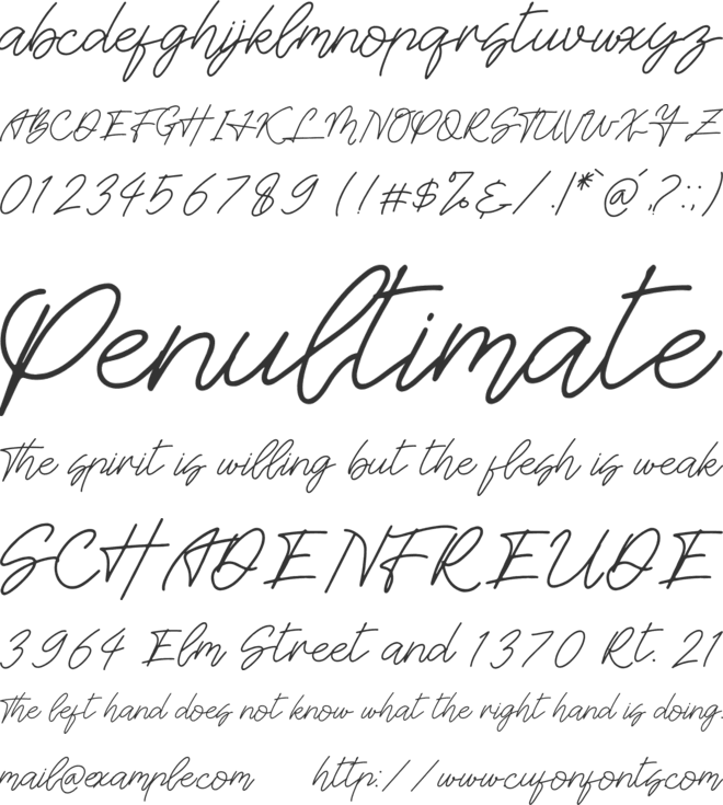 Britties Signature font preview