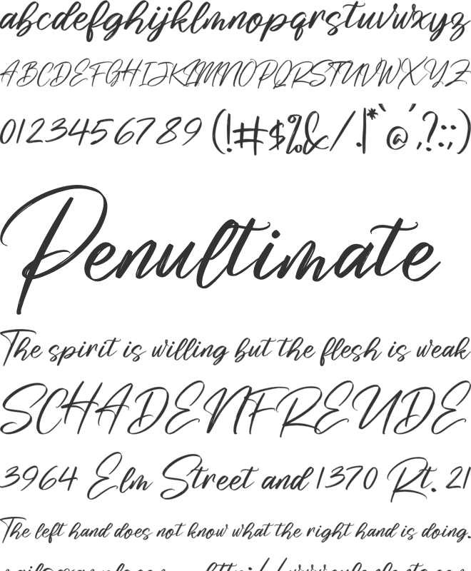 Risess Singature font preview