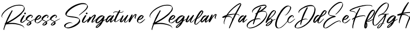 Risess Singature Regular font
