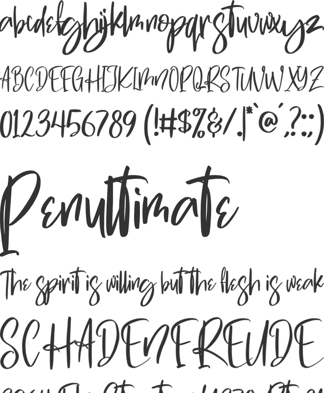 Swite Brush font preview