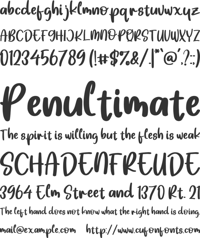 Monkey Funky font preview