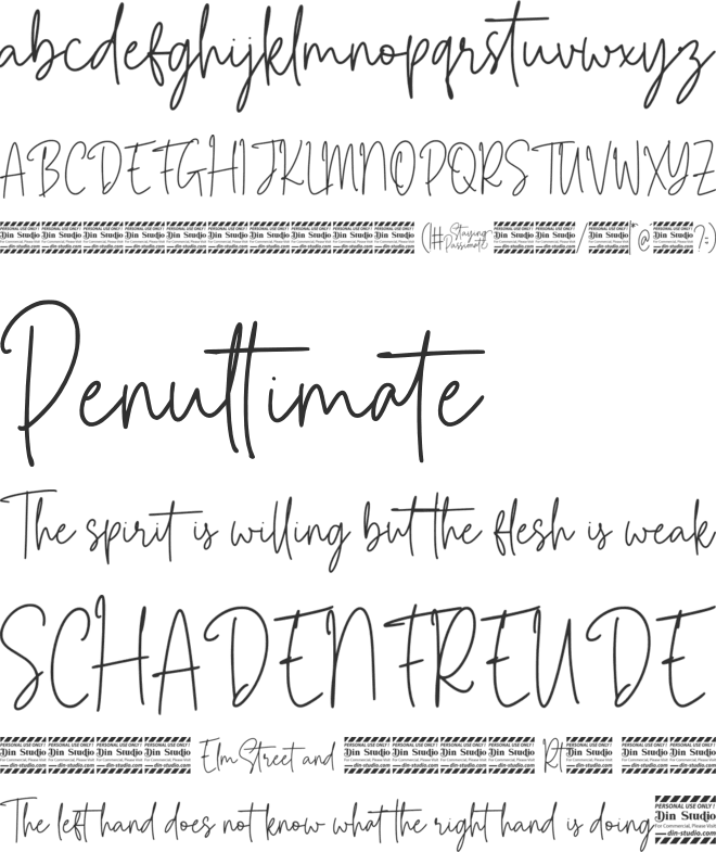 Staying Passionate Personal Use font preview