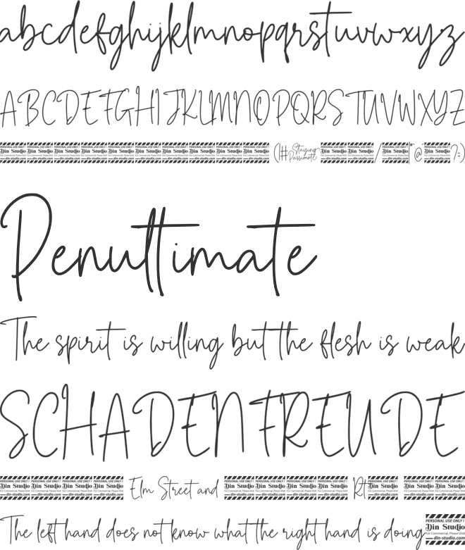 Staying Passionate Personal Use font preview