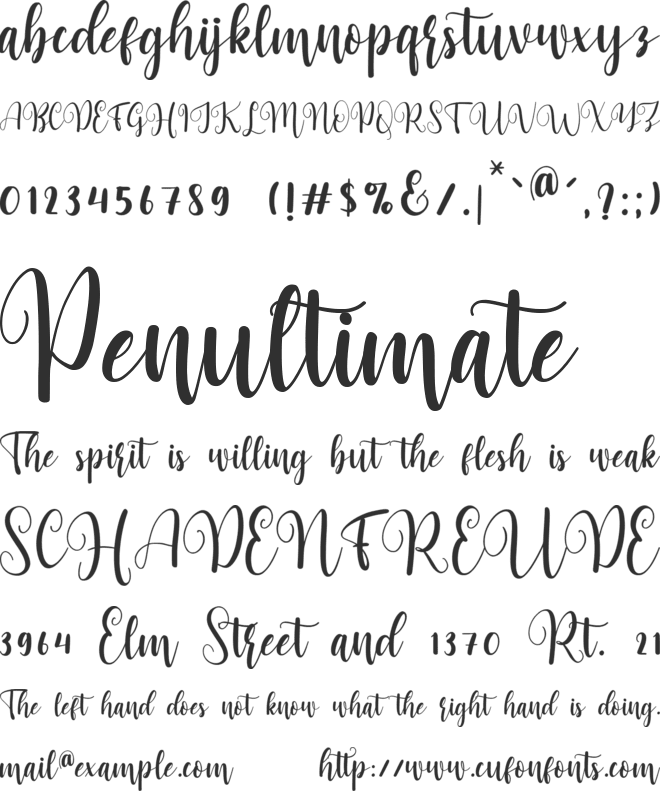monday spring font preview