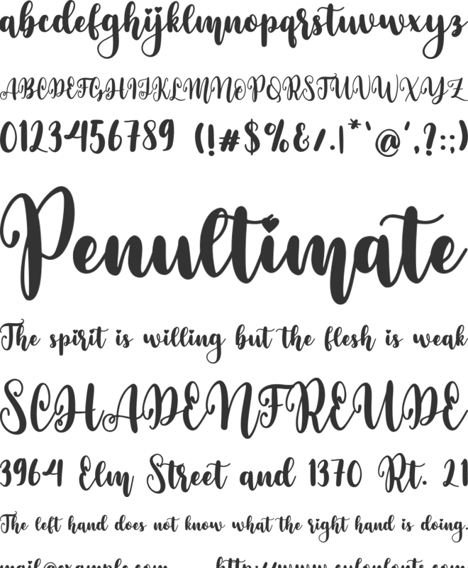 Amber Florist font preview