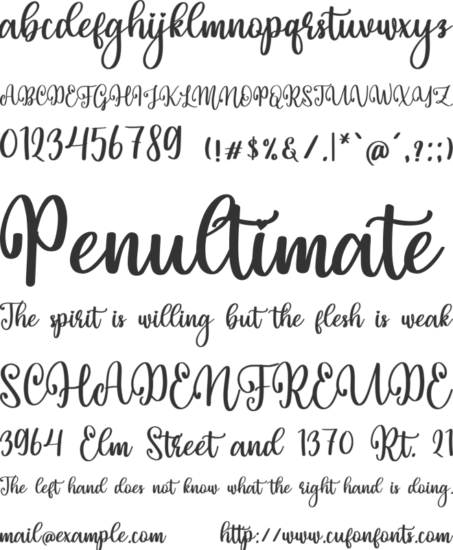 Bristol City font preview