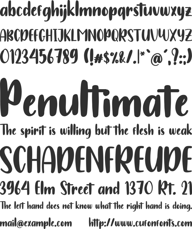 Morning Christmas font preview