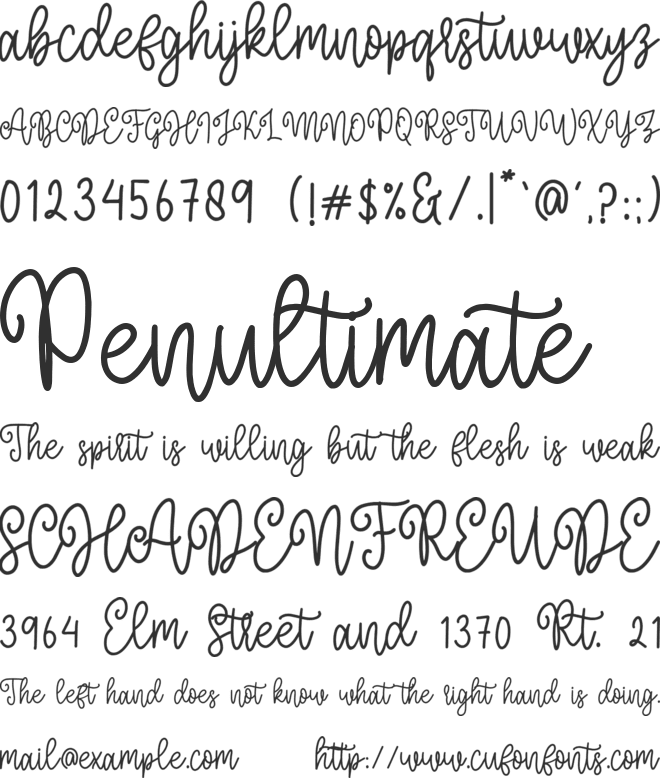 Morning Christmas Script font preview