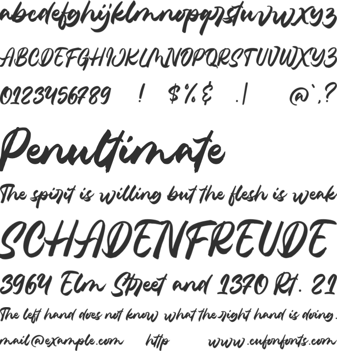 Belanthara - Brush Font font preview