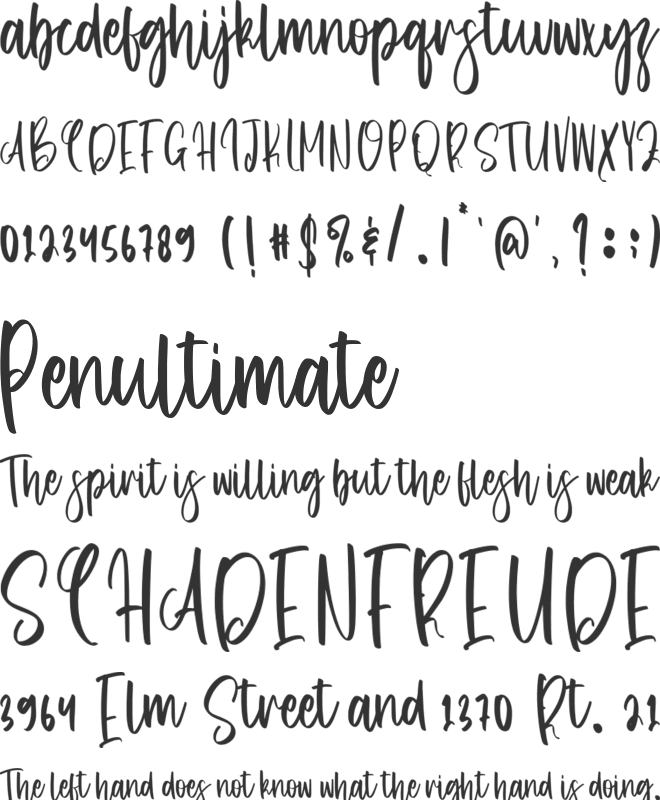 Straykid font preview