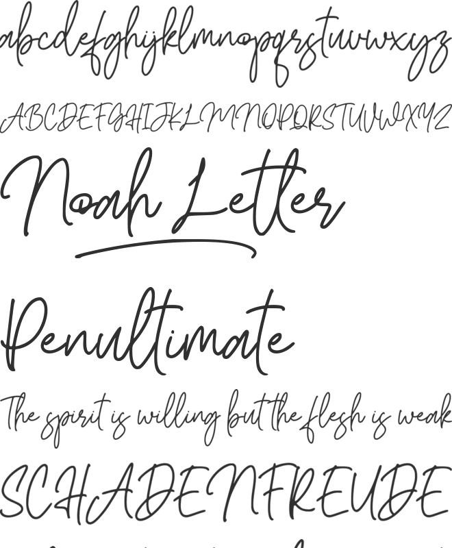 Noah Letter font preview