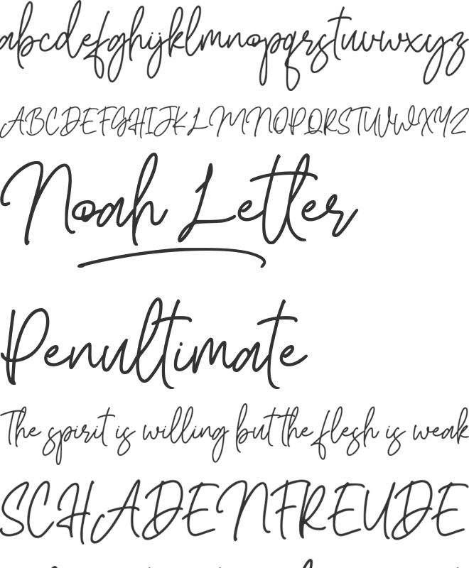 Noah Letter font preview