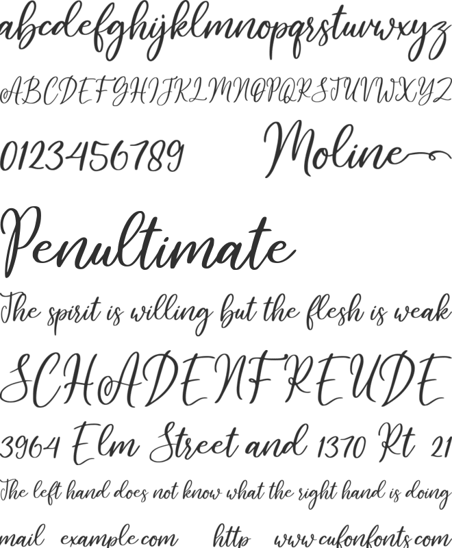 Moline font preview