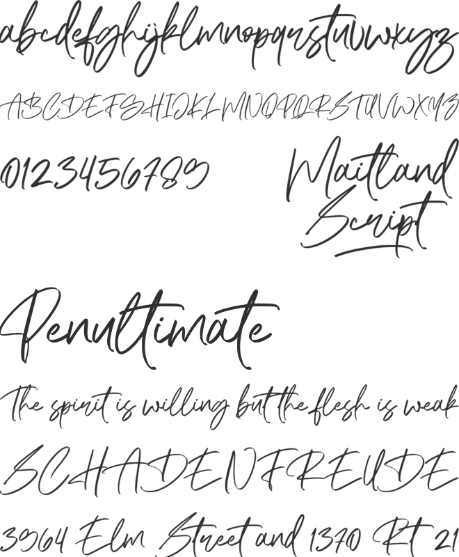 Maitland Script font preview