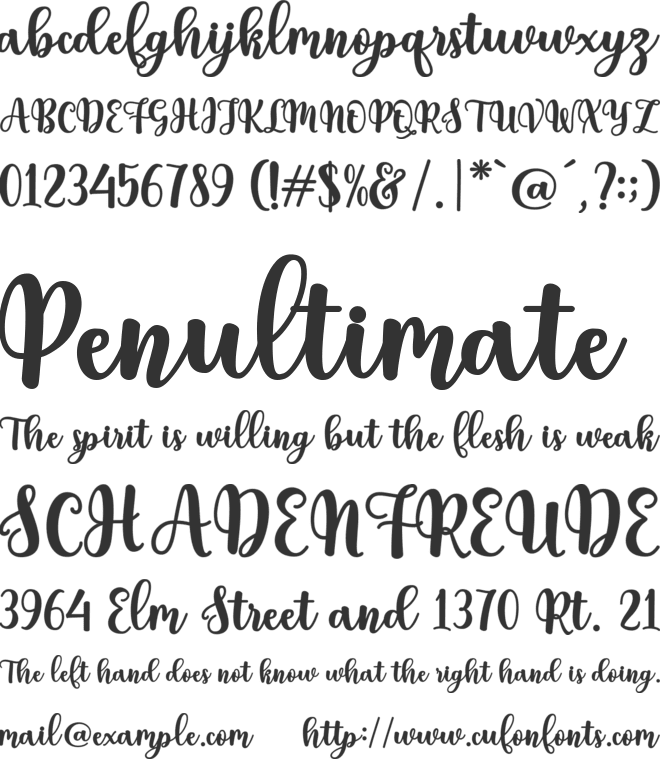 Doretha Script font preview