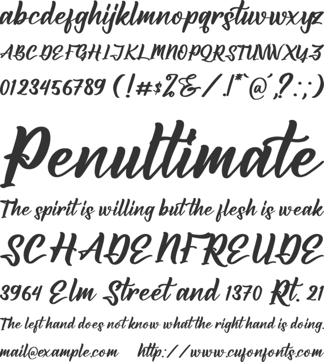 Amsterdam Jungleria font preview