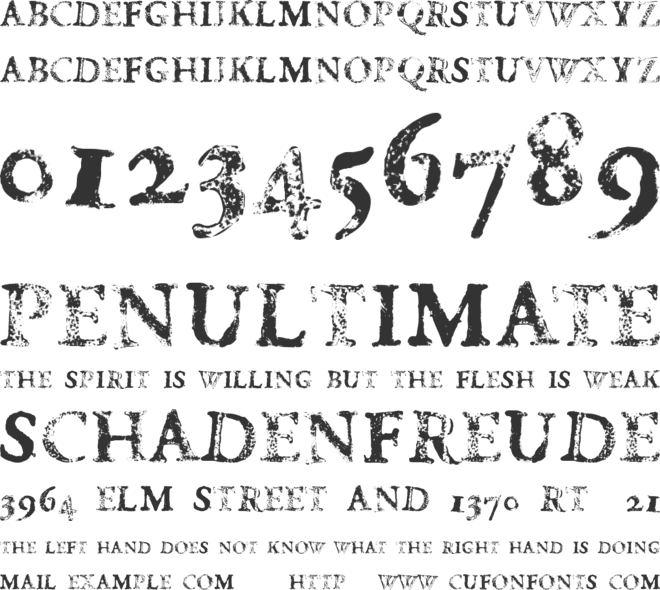 FD Carimboh font preview