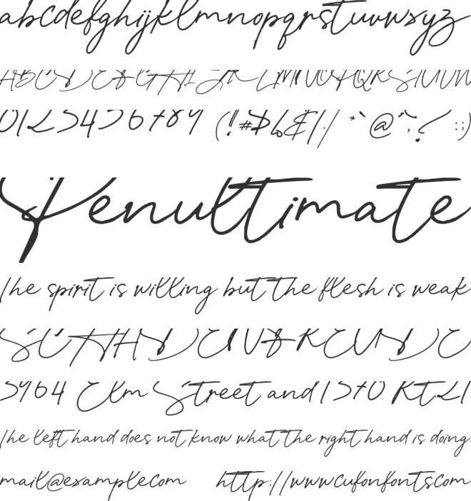 Spanish Signature font preview