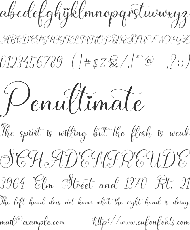 Angelonia font preview