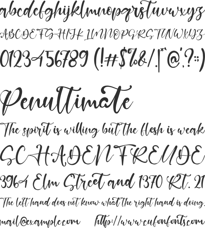 Chapter Five font preview