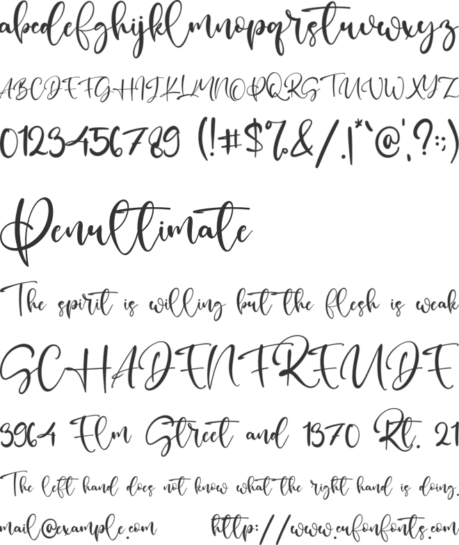 Panny Castie font preview