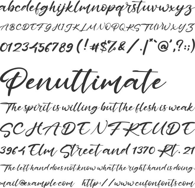 Pinky Promise font preview