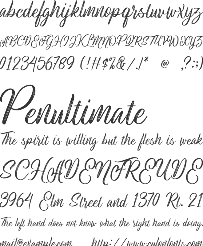 White Monkey font preview