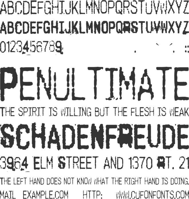 Cashier font preview